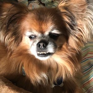 Meet your Posher, Jackie